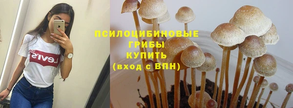 apvp Дмитриев