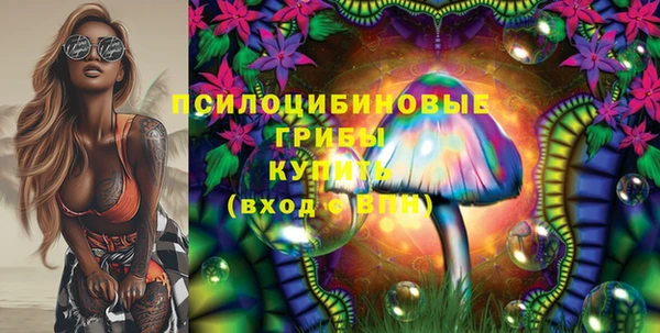 apvp Дмитриев