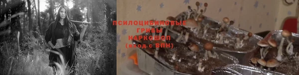 MDMA Дмитровск