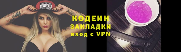 apvp Дмитриев