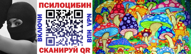 Псилоцибиновые грибы мицелий  Купить закладки  Кондопога 